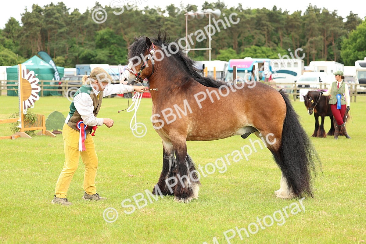 SBM_06314 - Class 39-41 TGCA In Hand and Ridden