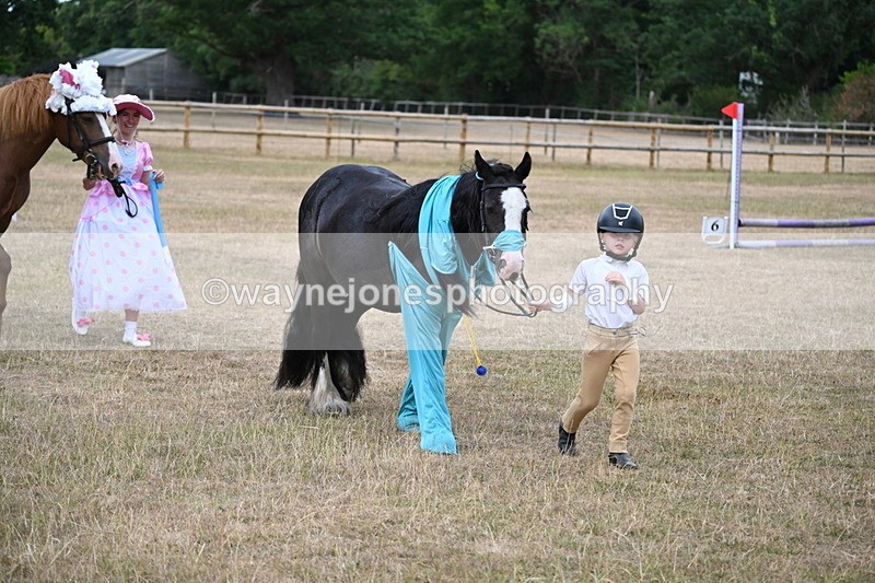 WJ6_8690 - Class 11 Fancy Dress