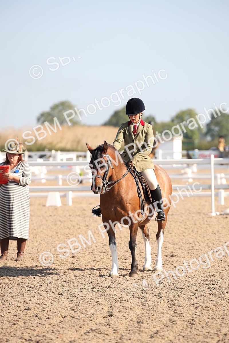 SBM_00700 - Class 14 Ridden M&M Wildcard
