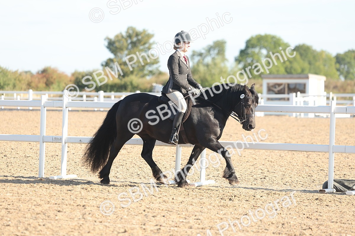 SBM_10974 - Class 302 - Ridden M&M Large Breeds