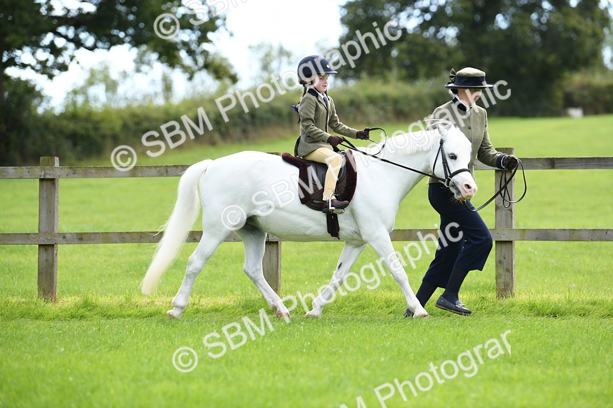 SBM_42470 - S20 - Lead Rein Mountain & Moorland Pony
