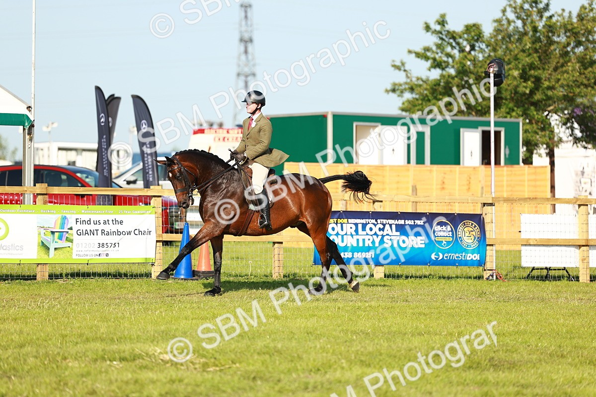 SBM_10792 - Class 66-69 - RIHS Ridden Hunters Inc Small Hunter