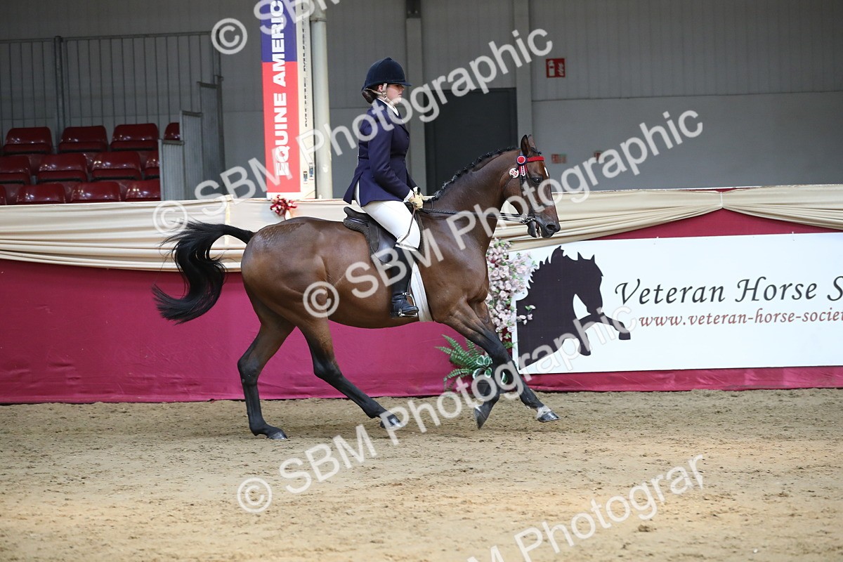 SBM_08316 - Class 11R Regional Ridden Veteran