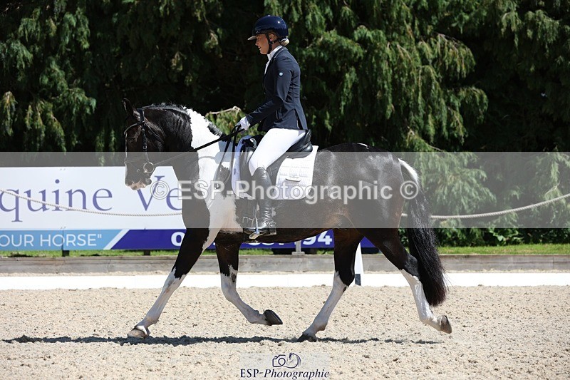 230811-140638-01963 - Cls 1 Prelim Bronze 13.30 to 14.50 break