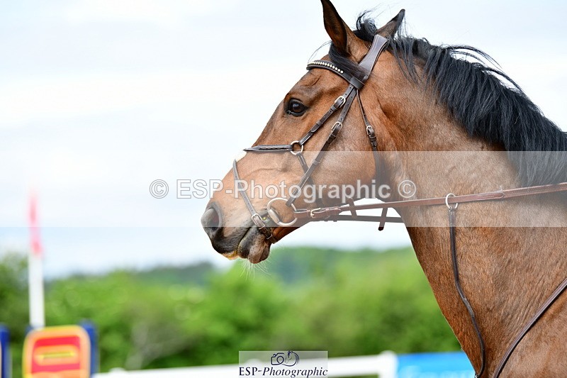 240524A-100303-02395 - Cls 21 British Novice and 90cm Open