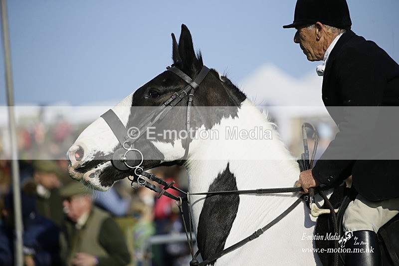 PtP 190322 674 - Wilton Hunt PtP Milborne St Andrew 19/03/22