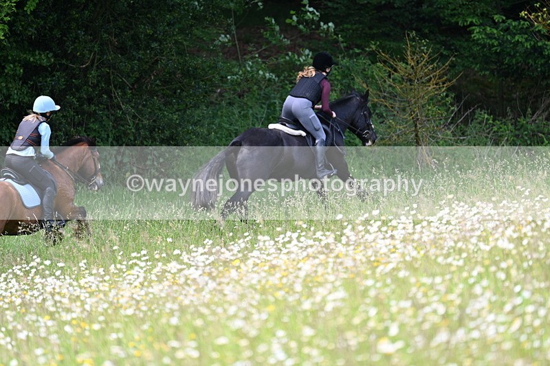 WJ7_8581 - Group 1 10am