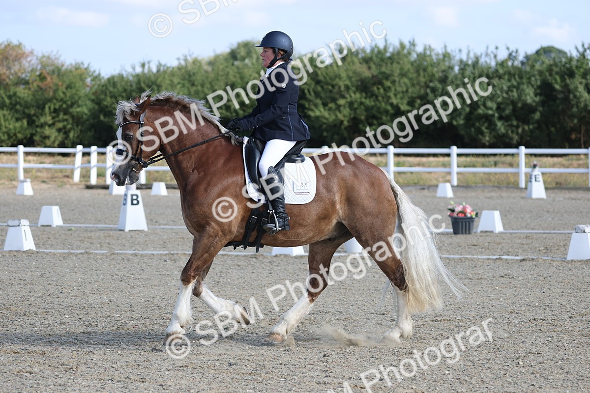 SBM_020258 - Class 21 - M5 Bronze 9.30.10.34