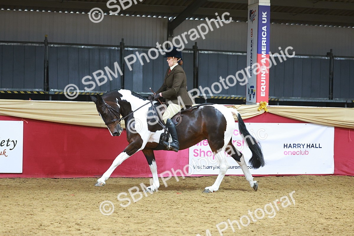 SBM_09657 - Class 102 - HOYS Veteran Qualifier - Ridden Veteran