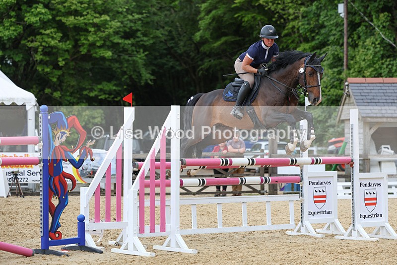 3E7A7908 - Class 8: Senior Foxhunter/1.20 open