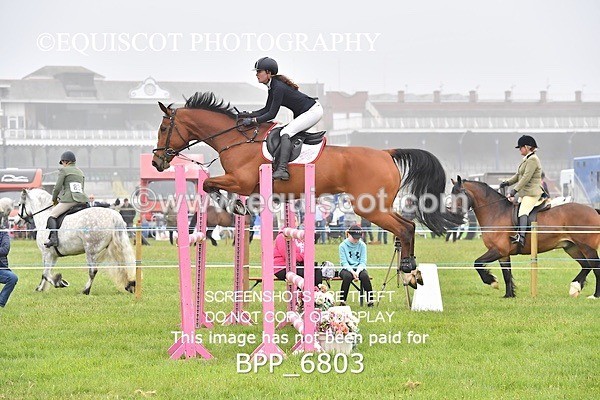 BPP_6803 - CLASS 2 RHS Classic Champ Qual (1.20m)