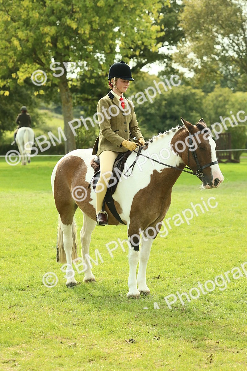 SBM_68105 - S57 - Part Bred Pony Ridden
