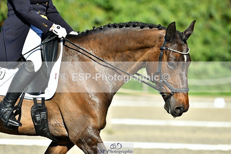 230623-183005-03268 - Cls 11 FEI PSG