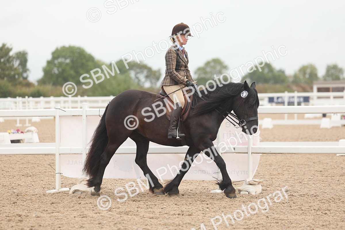 SBM_01860 - Class 14 - Ridden M&M Wildcard