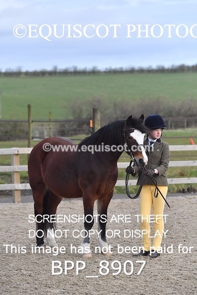 BPP_8907 - RING 2 - M&M