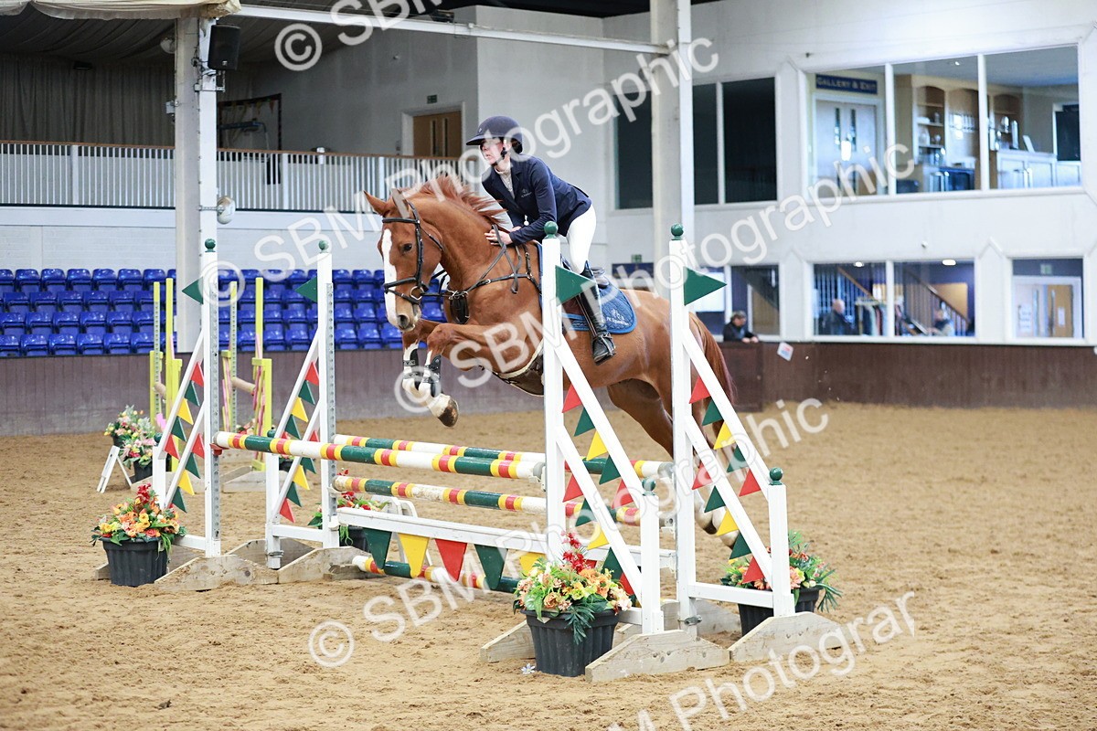 SBM_003193 - Class 9 - Senior British Novice - 90cm