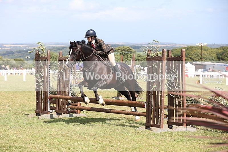 JPP_2215 - Class 19: Working Hunter 60cm