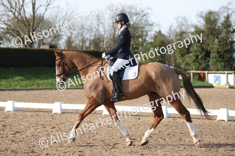 20260214-0602 - Class 5 - Novice 3