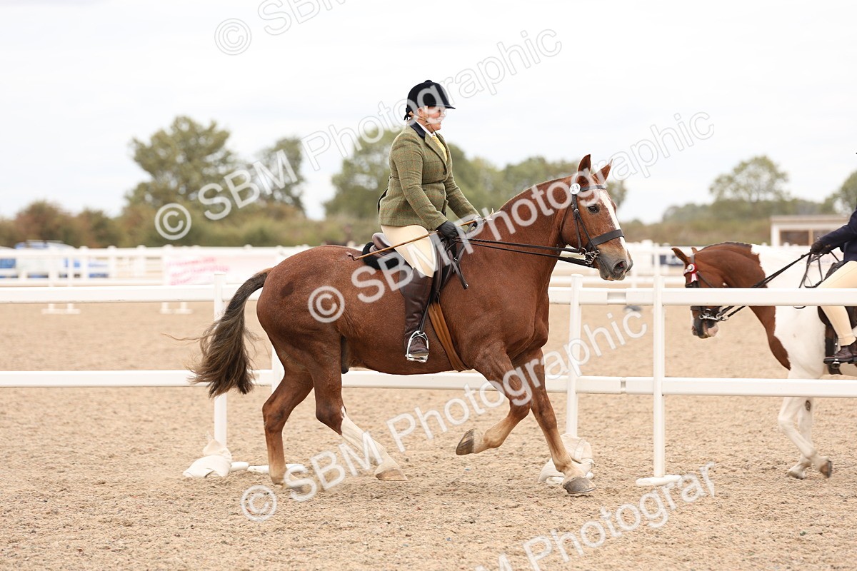 SBM_19530 - Class 215 - Ridden Show cob