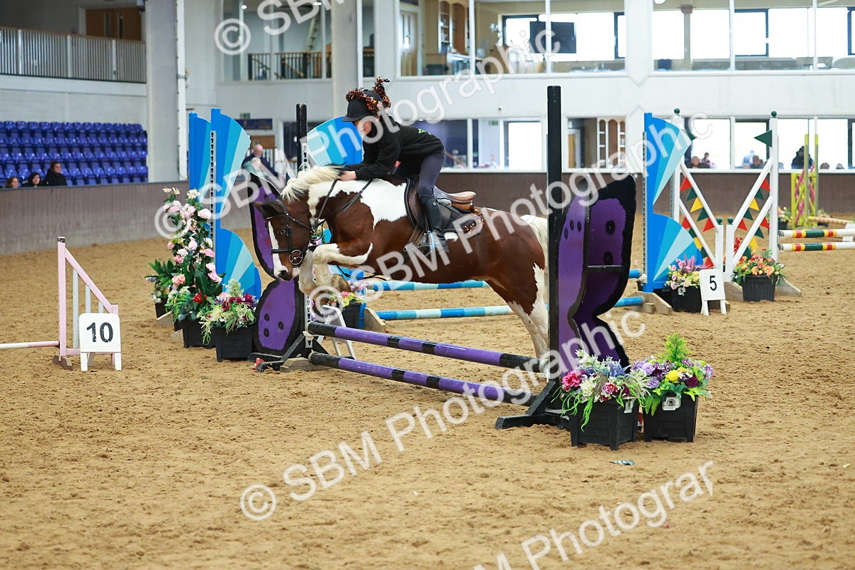 SBM_002516 - Class 3 - Horse & Hound (60cm)