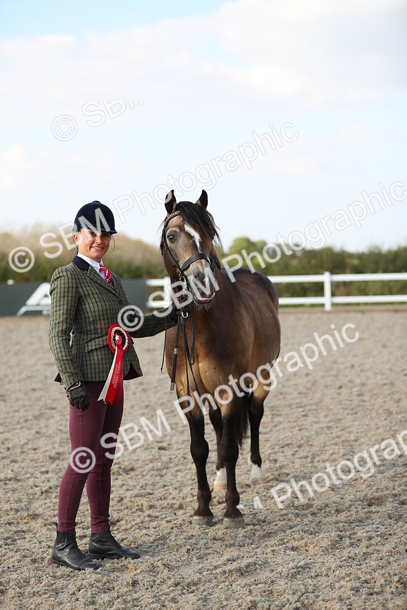SBM_09082 - Class 29 IH Veteran Pony