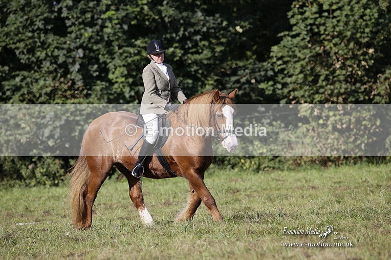 BVRC 120921 46 - Bourne Valley Riding Club UA Dressage & Show Jumping 12/09/21