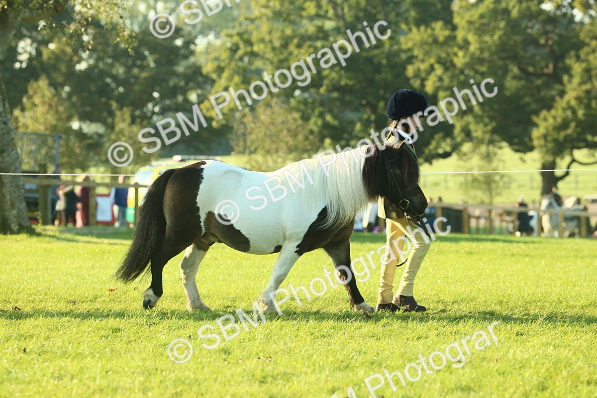SBM_57285 - S37 - Starters In Hand Showing