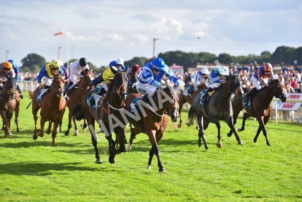 yr19082022r7-39 - Race 7 5.20pm Sky Bet Mile Stakes