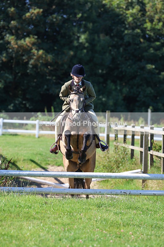 3E7A7744 - Class 2: Open Working Hunter pony