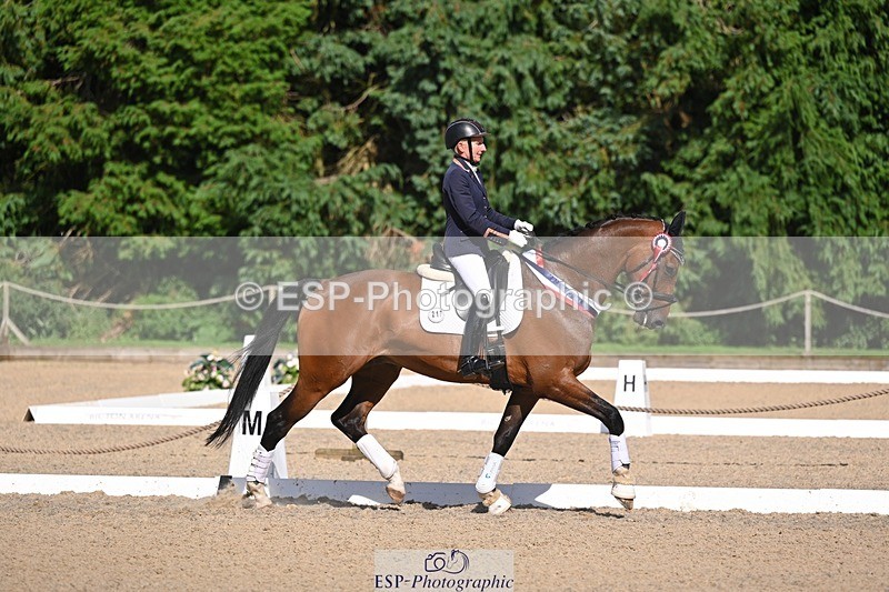 240809-163704-02450 - Novice Gold