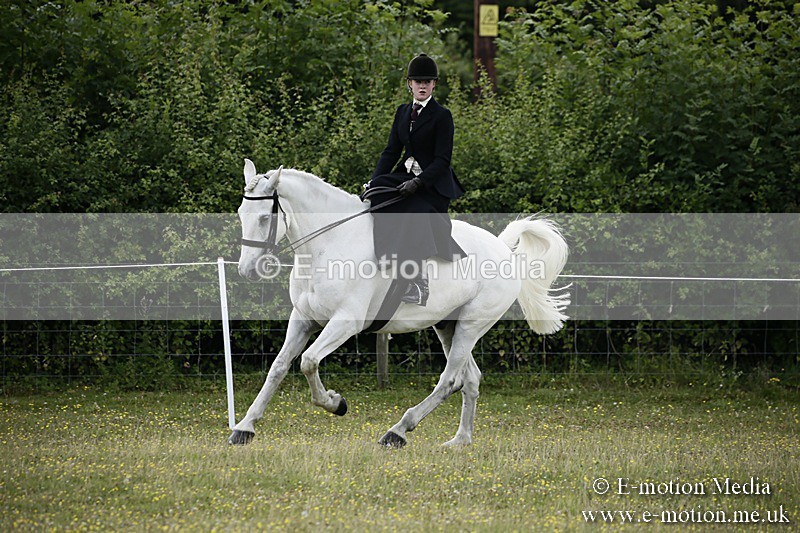 BVR160717-1651 - Side Saddle Classes 16/07/17