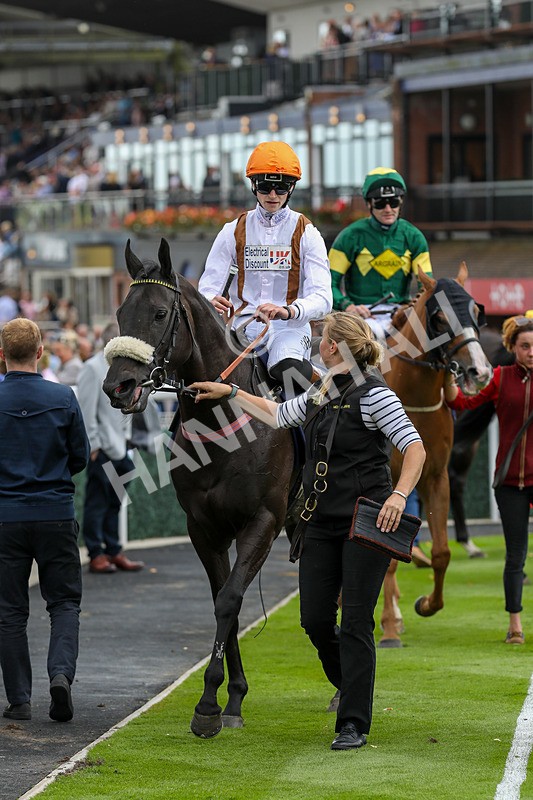 250824-Race 1-Emeralds Pride-9282 - Race 1