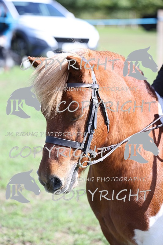 APP_3874 - Class 13 Lead rein