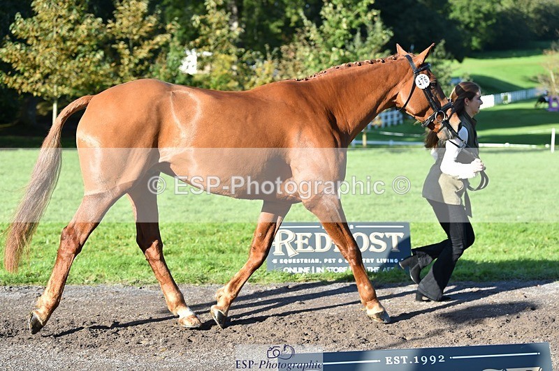 231022-103714-22618 - 476-MONARTS.MASTERCLASS-Laura.Bostock-TrotUp+SJ