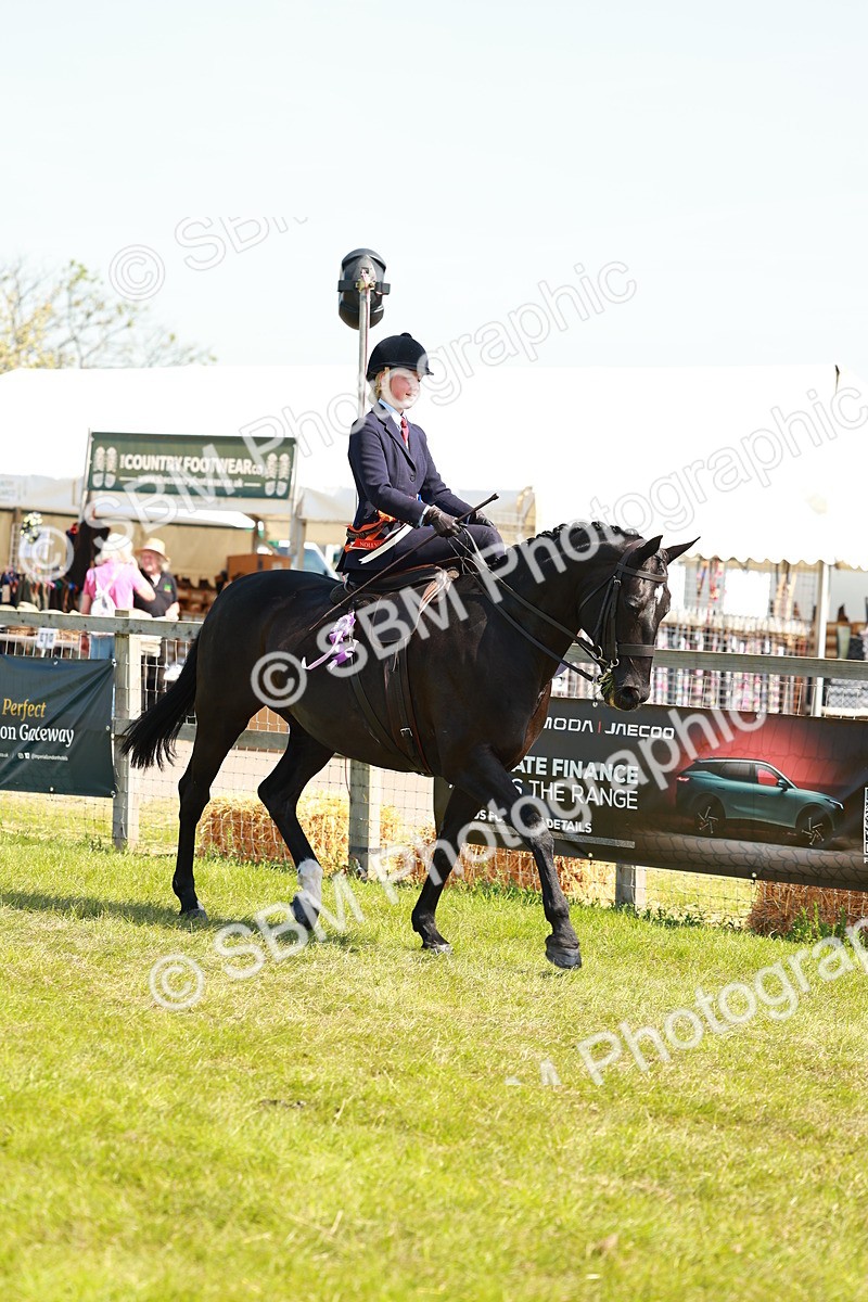 SBM_13289 - Class 70-71 - Side Saddle