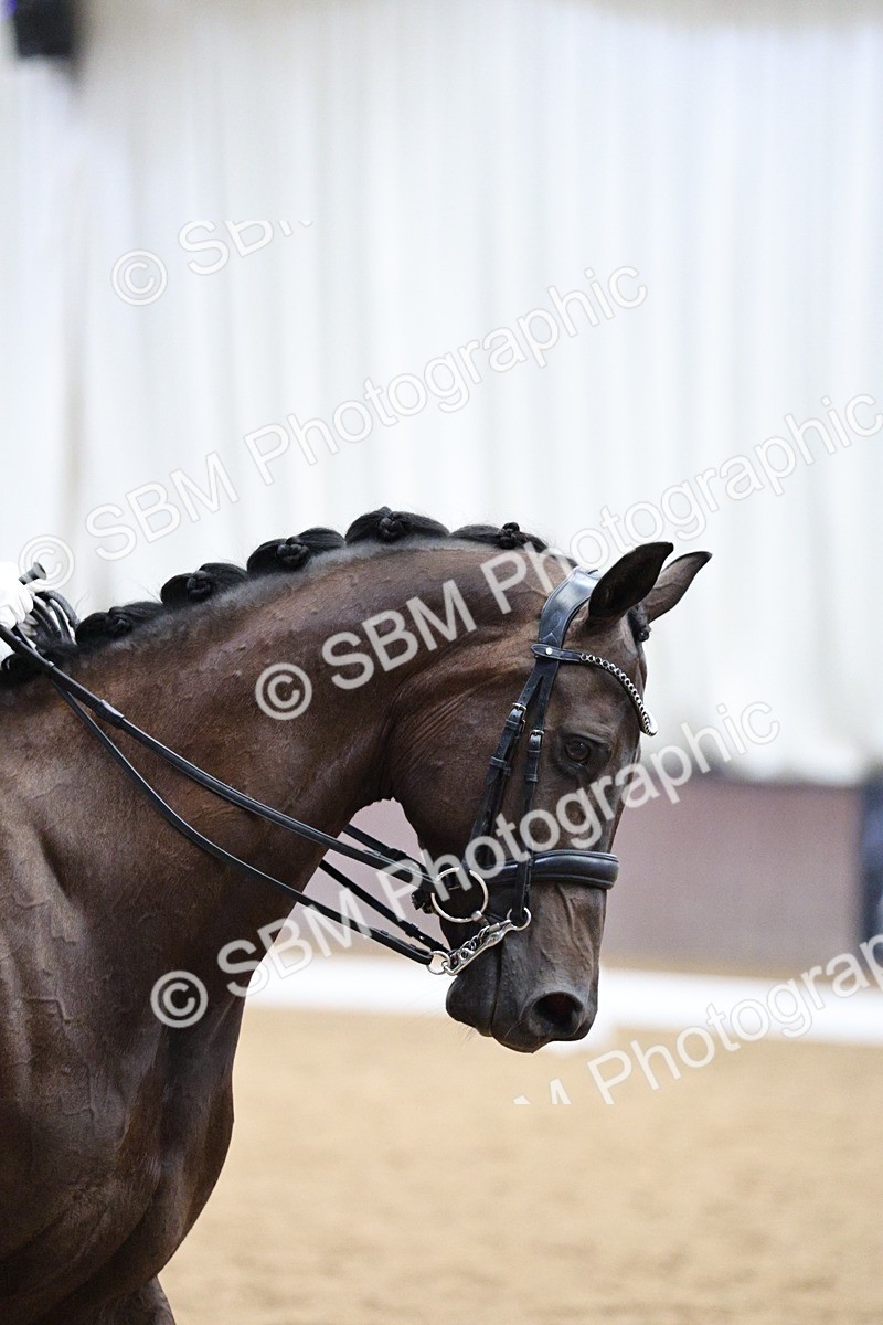 SBM_002089 - Class 10 - Medium 5