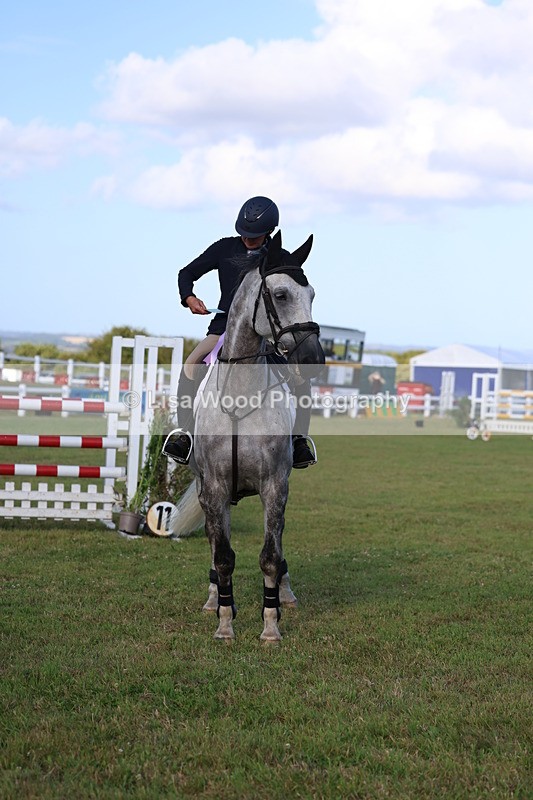 3E7A4549 - Class C: Showjumping Senior Foxhunter