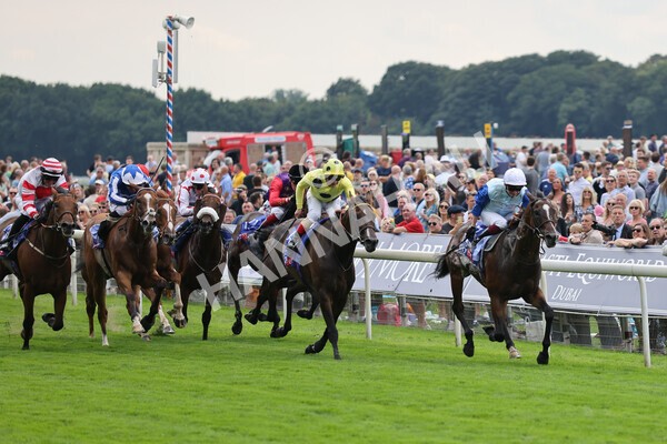 yr20082021r1-12 - Race 1 1.50pm Sky Bet Stakes