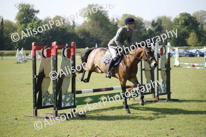 20250427-0375 - Class 12 - Rookie Jumping 40cm