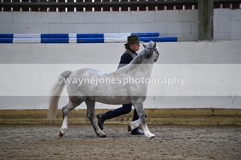 WJ5_5211 - Class 4 In hand M&M - small breeds