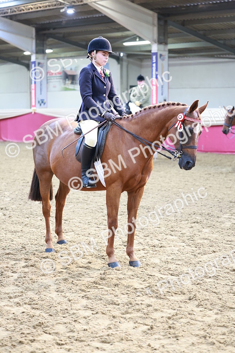 SBM_11897 - Class 102 - Equitation (Best Rider) Adult