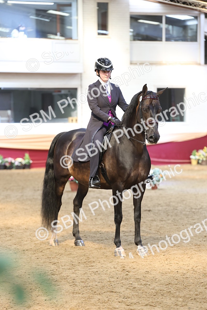 SBM_23766 - class 906 - Supreme Final - Ridden Pre Vet