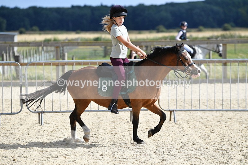 WJ5_5577 - Poles off the floor