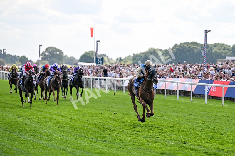 220826-Race 1-Archivist-9227 - Race 1 13.50pm Sky Bet Strensall Stakes