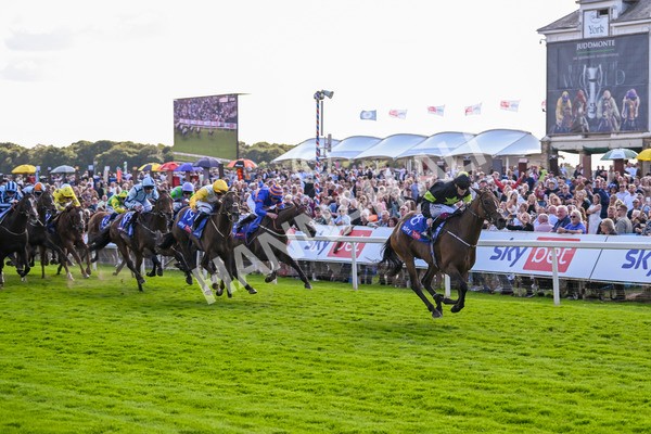 240824-Race 4-Magical Zoe-1653 - Race 4 3.35pm Sky Bet Ebor Handicap