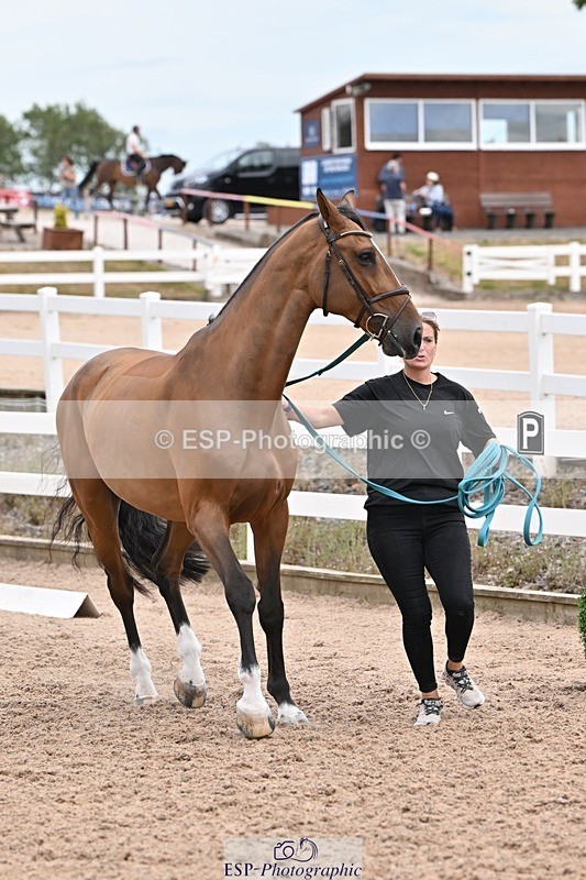 250716-143535-01234 - Trot Up 2.30 to 3.30