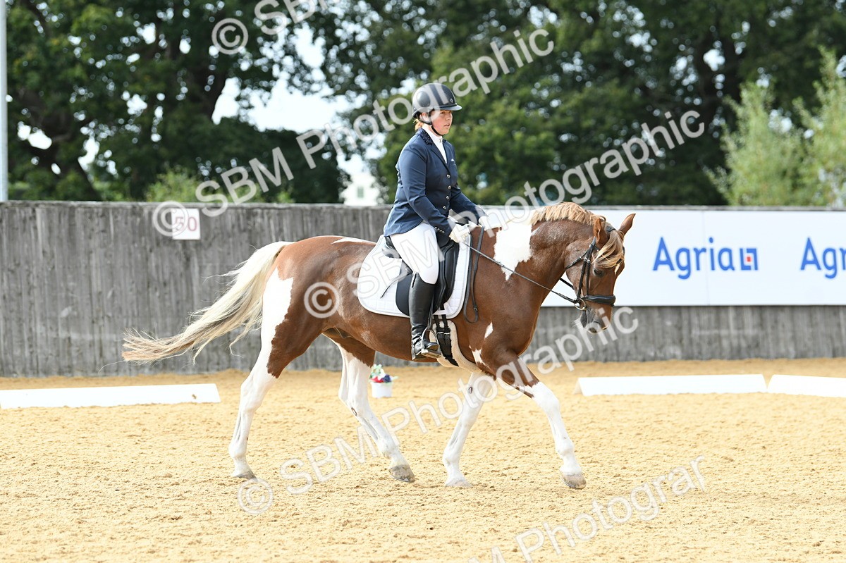 SBM_11049 - D28 Elementary Taster Elementary 42