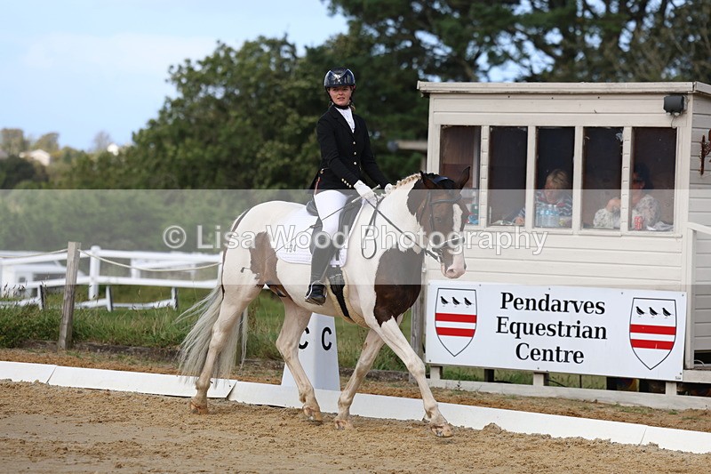 3E7A4175 - Class 9: Novice 6 Section B Championship