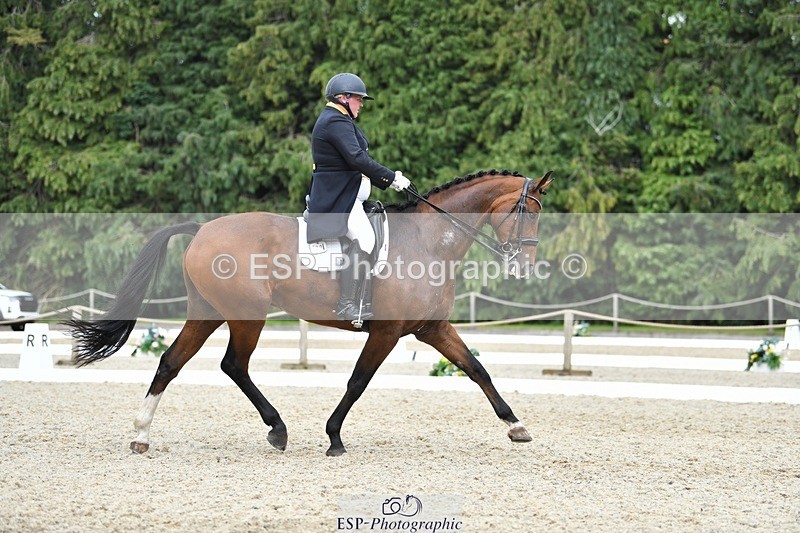 230812-154938-05218 - Cls 10 FEI Inter I Silver