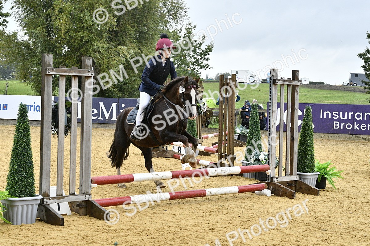 SBM_70858 - J3 - Mini Tour Junior Pony 40cm championship